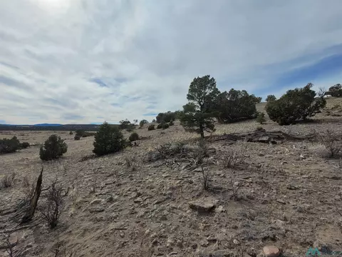 47 Cougar Run, Datil, NM 87821 photo 10