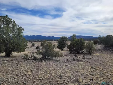 47 Cougar Run, Datil, NM 87821 photo 26