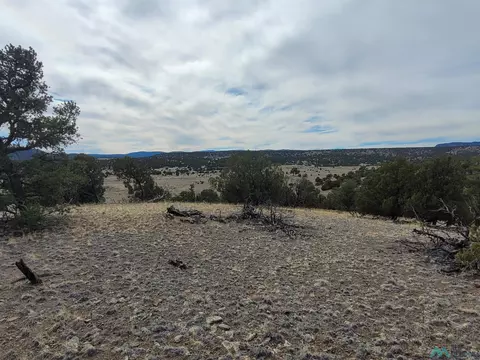 47 Cougar Run, Datil, NM 87821 photo 20