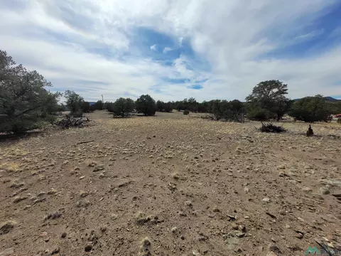 47 Cougar Run, Datil, NM 87821 photo 34