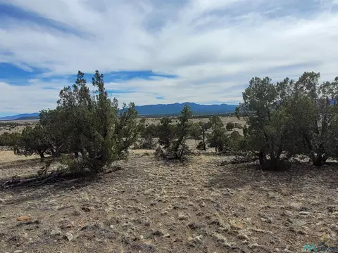 47 Cougar Run, Datil, NM 87821 photo 31