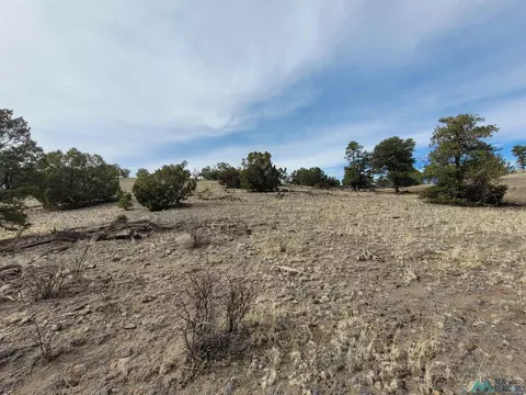 47 Cougar, Datil, NM 87821 photo 11