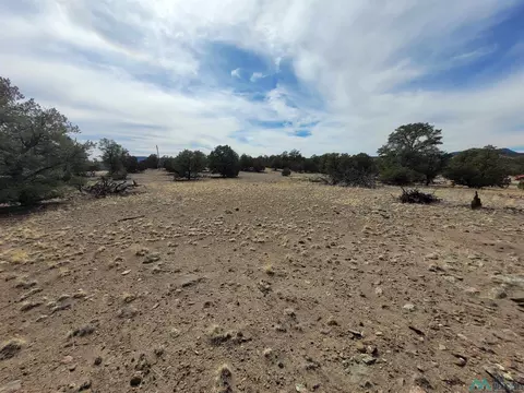 47 Cougar, Datil, NM 87821 photo 34