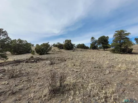 47 Cougar Run, Datil, NM 87821 photo 11