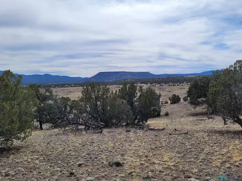 47 Cougar Run, Datil, NM 87821 photo 30