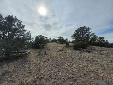 47 Cougar Run, Datil, NM 87821 photo 24