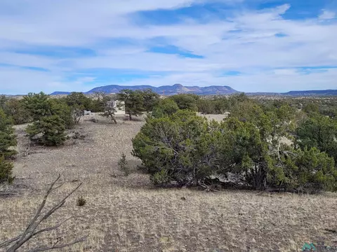 47 Cougar Run, Datil, NM 87821 photo 23