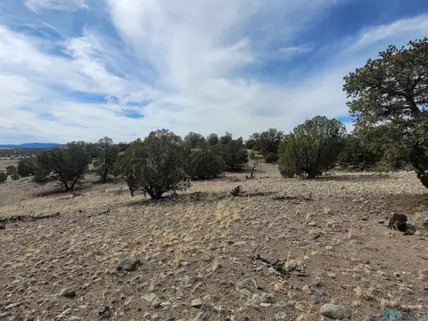 47 Cougar Run, Datil, NM 87821 photo 29