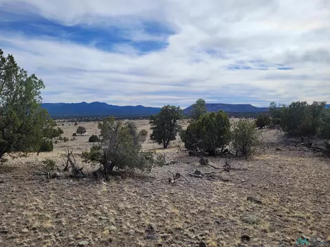 47 Cougar Run, Datil, NM 87821 photo 25