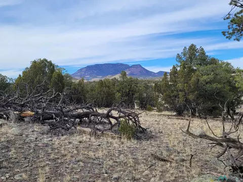 47 Cougar Run, Datil, NM 87821 photo 22