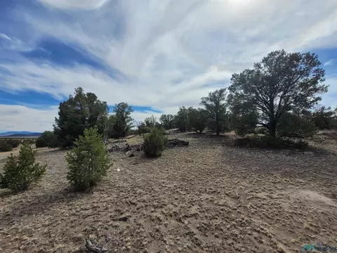 47 Cougar Run, Datil, NM 87821 photo 37