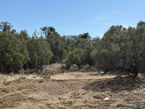 Christy Lane, Los Ojos, NM 87551