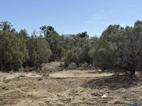 0 Christy Lane Ln, Los Ojos, NM 87551