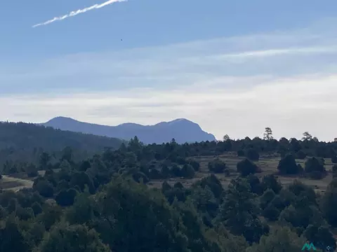 1 Cr 341 Rd, Chama, NM 87520