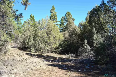 Nm Sr 64, Tierra Amarilla, NM 87575