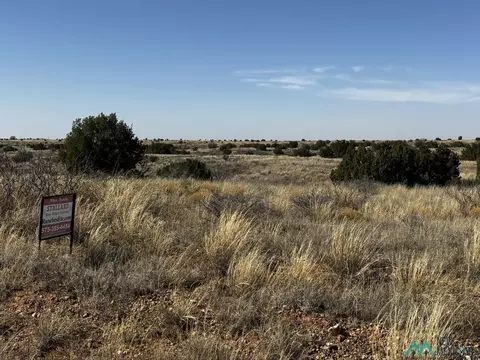 Sunset Place, Fort Sumner, NM 88119