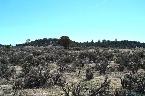 00 Pajarito Rd, Tierra Amarilla, NM 87575