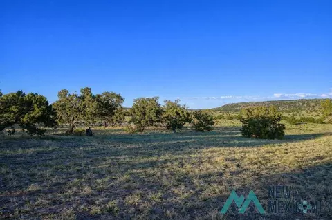 158 Deer Circle Rd # -A, Quemado, NM 87829