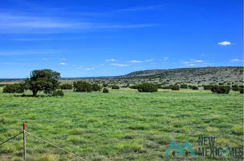 124 Deer Circle Rd, Quemado, NM 87829