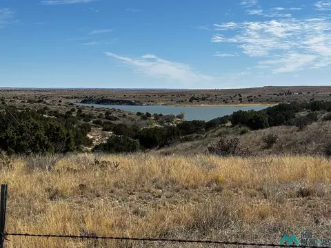 Sr 203, Fort Sumner, NM 88119