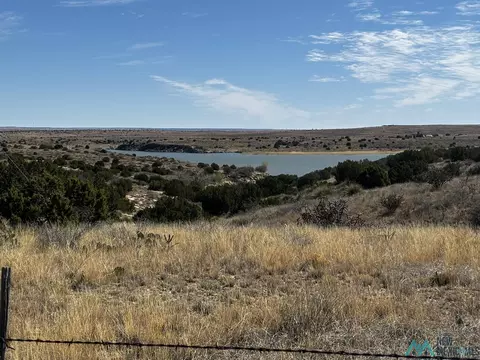 Sr 203 Highway, Fort Sumner, NM 88119