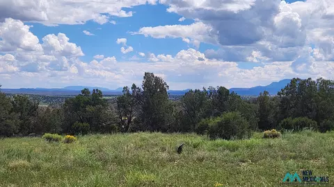 Kemo Sabe Pass Road, Quemado, NM 87829