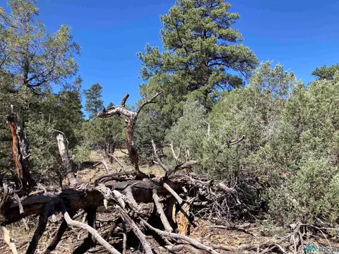Parkview Hills Lot 29, Rutheron, NM 87551