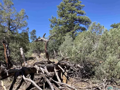 tbd Parkview Hls #LOT 29, Rutheron, NM 87551