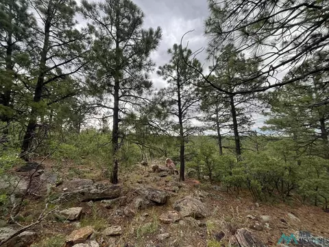 La Rama Rd., Golondrinas, NM 87712