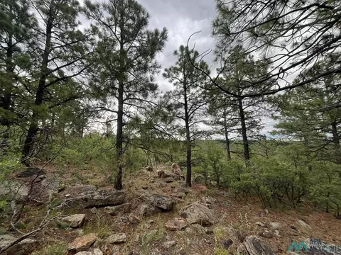 lot E La Rama Rd, Golondrinas, NM 87712