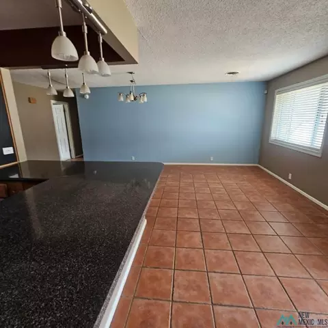 Living - 1624 Jonquil Park Dr, Clovis, NM 88101 photo 4 of 4