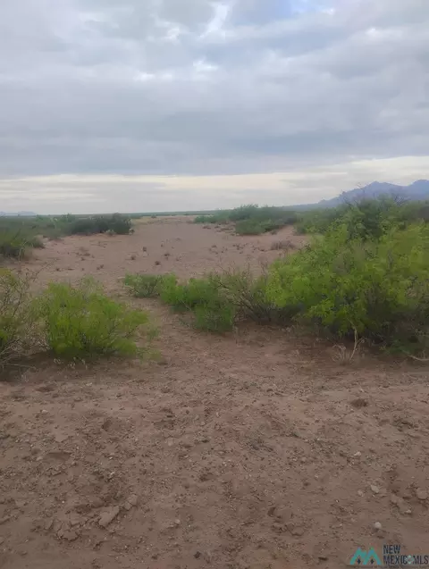 Nnnn Indiana Rd Se, Deming, NM 88030