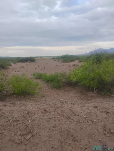 1111 Indiana Rd SE, Deming, NM 88030