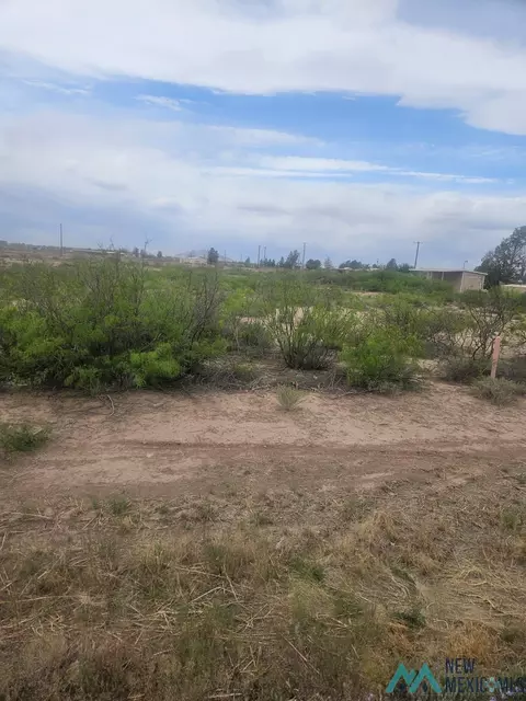 Nnnn Columbus Hwy, Deming, NM 88030