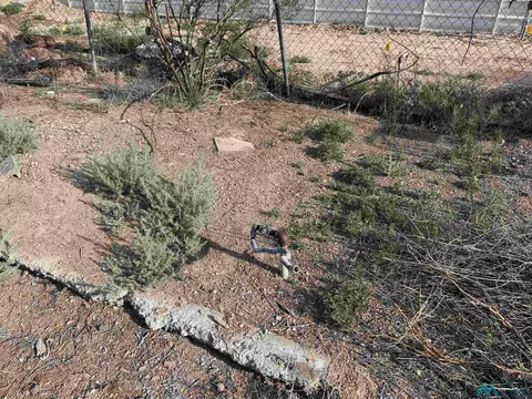 725 Charles St, Truth Or Consequences, NM 87901 photo 3