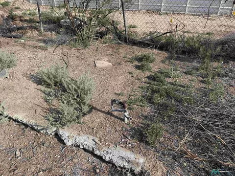 725 Charles St, Truth Or Consequences, NM 87901 photo 3