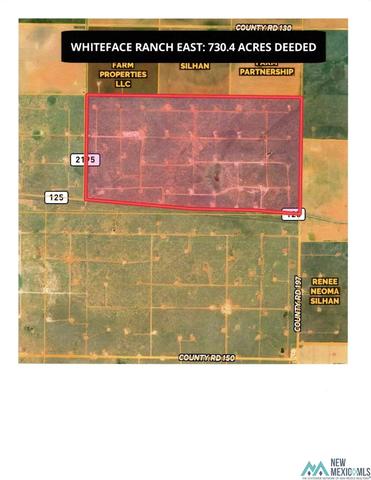 E County Road 197, Whiteface, TX 79379