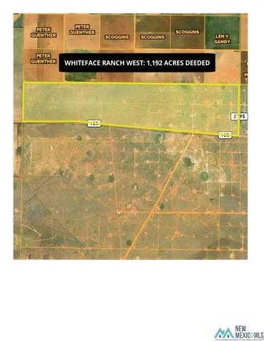 Fm 25, Whiteface, TX 79379