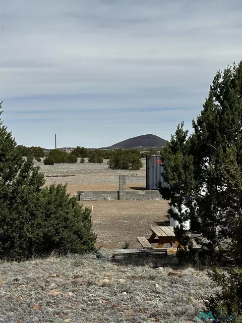 471 Cimarron Dr, Quemado, NM 87829