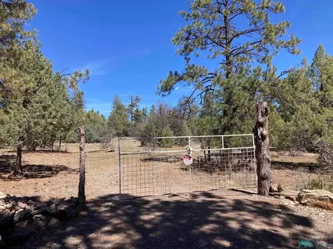 Doe Rim Dr, Rutheron, NM 87551
