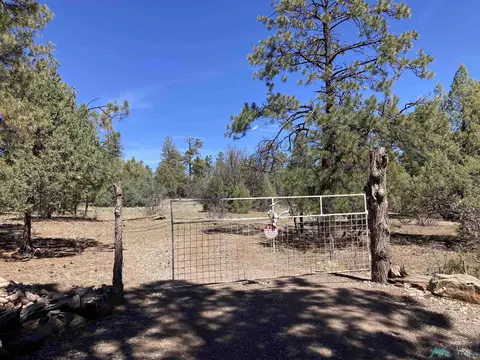 tbd Doe Rim Dr, Rutheron, NM 87551