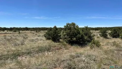 55 Elk Trl, Pie Town, NM 87827