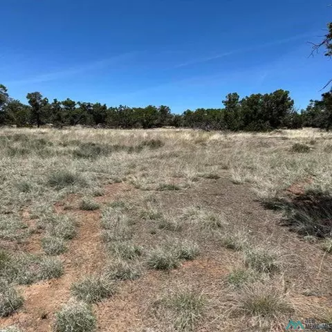 2 Rabbit Cir, Pie Town, NM 87827
