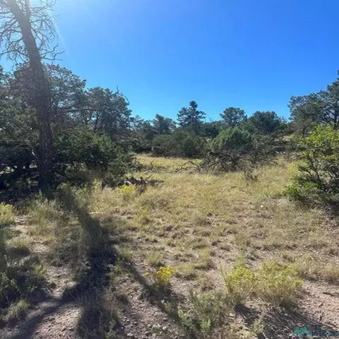Nn Lookout Circle, Datil, NM 87821