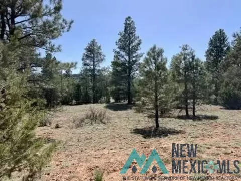807 Timberlake Rd, Ramah, NM 87321