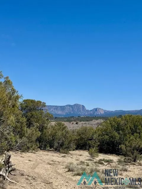 Cr 336, Rutheron, NM 87551