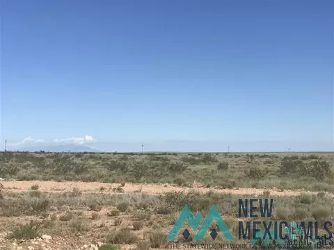 00 E Morgan Rd, Hagerman, NM 88232