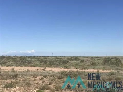 E Morgan, Hagerman, NM 88232