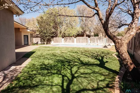 156 Sandzen Dr, Clovis, NM 88101 photo 64