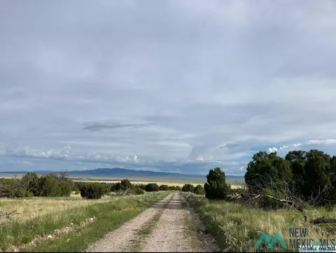 25 Coyote Trl, Datil, NM 87821 photo 3